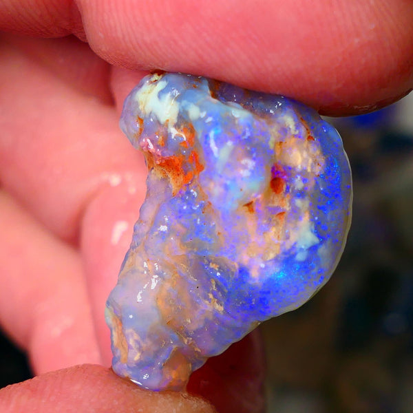 Lightning Ridge Knobby opal rough showing nice bright colours details to come 22.00cts 26x20x10mm ALP102