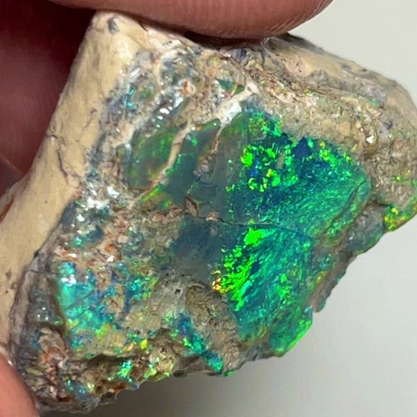 Coocoran Opal formation rub/rough 45.00cts Stunning Golds/Greens/Reds & Bright Multifires to exposed face 25.000 x 24.000 x 13.000mmmm NSW073