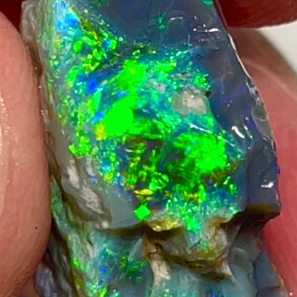 Gem Cutters Black seam opal rough Lightning Ridge 15.95cts Gorgeous Bright Multicolours showing potential Chinese writing /script pattern to cut 20.00x 14.00x 10.00mm NEW961