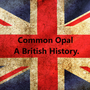 The History and uses of Opal Common Opal in the British Isles