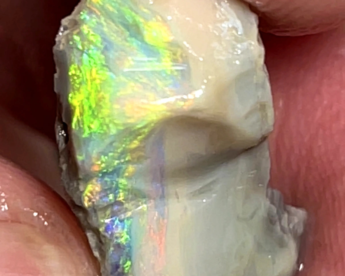 Lightning Ridge 9.5cts Carvers Dark base Seam Opal rough Gorgeous Bright Multicolours 20x9x6mm 1101