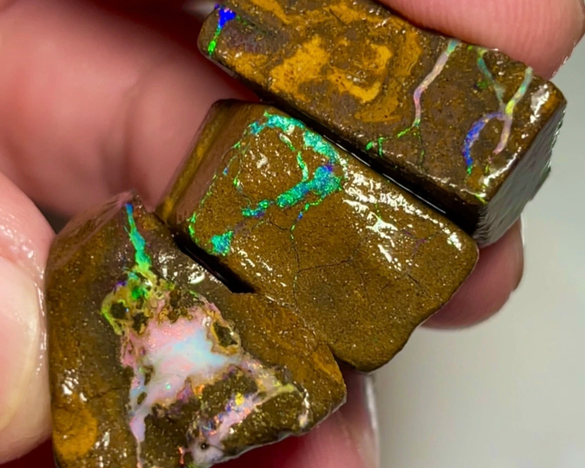 Bling Bling Boulder opal 126cts rough Nice Sized Exotic Gem Winton Bright & Gorgeous Reds &  Multifires 25x17x11mm 22x11x9mm AUCTION NSA011