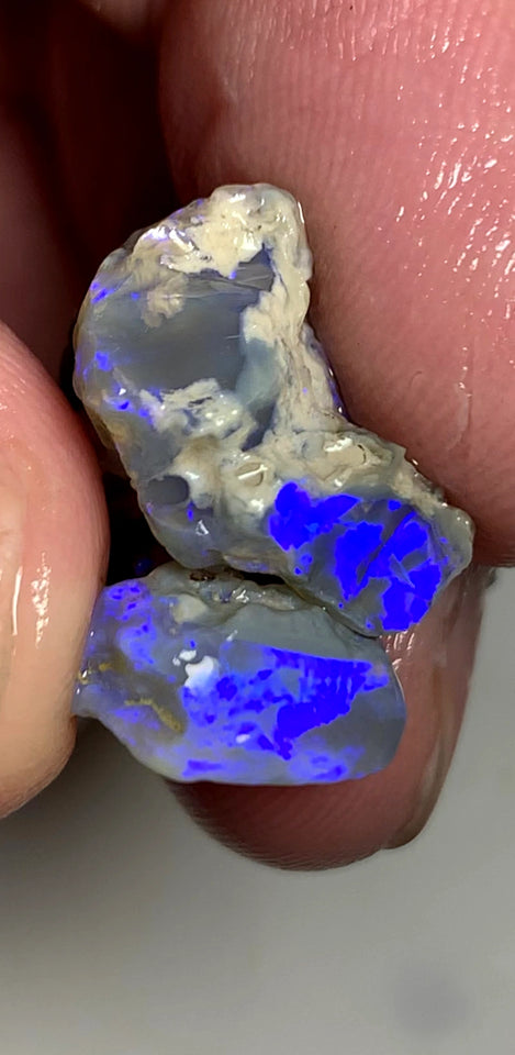 OPAL MONTH SPECIAL Lightning Ridge Rough Pair Dark Seam opals 26cts Stunning Bright Blues 22x17x9mm & 15x13x4mm WSZ55