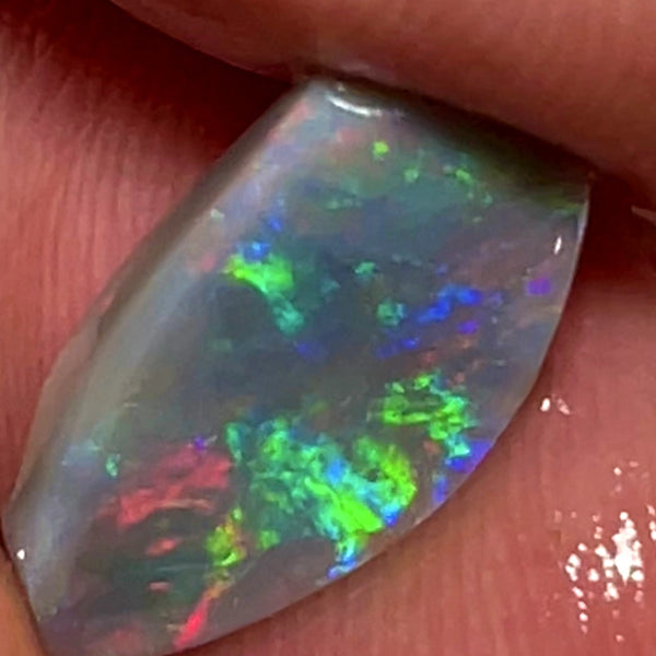 Lightning Ridge Rough / Rub Dark Base opal Miners Bench® 2.15cts Gorgeous Bright Reds & Multifires  15x7x2mm WAB64