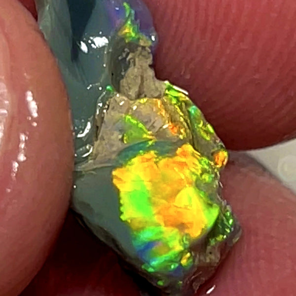 Lightning Ridge Rough Opal 5.25cts Dark Base Carvers Candy High Grade Bright Orange/Yellow Multifires 17x12x8mm WAE2