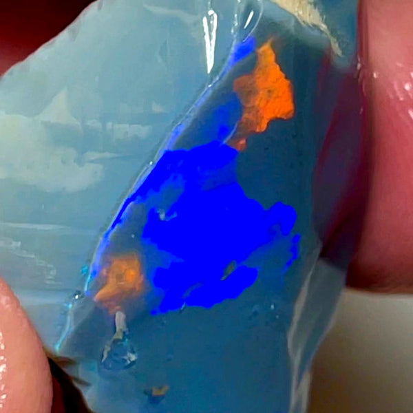 Lightning Ridge Opal Huge Rough/Rub Dark Base From the Miners Bench® 60cts Broad zones of Orange/Blue fires 39x24x12mm WAD29