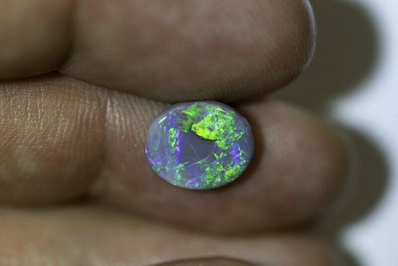 Lightning Ridge Semi Black Opal Gemstone 2.48cts N5 Body Tone B3 Brightness Stunning Multi fires & play of colour 11x9x3mm WSF8877