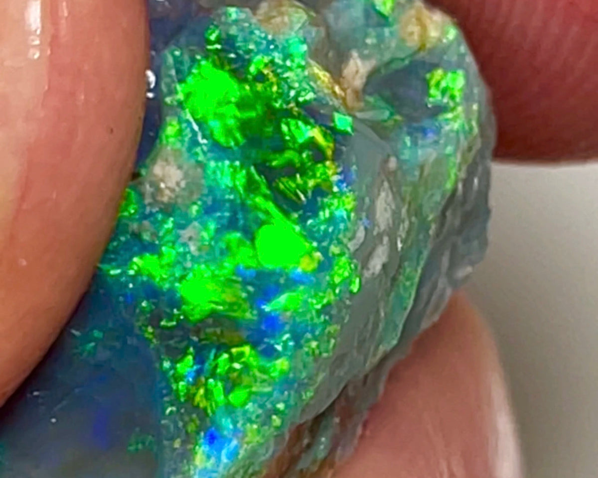 Gem Cutters Black seam opal rough Lightning Ridge 15.95cts Gorgeous Bright Multicolours showing potential Chinese writing /script pattern to cut 20.00x 14.00x 10.00mm NEW961