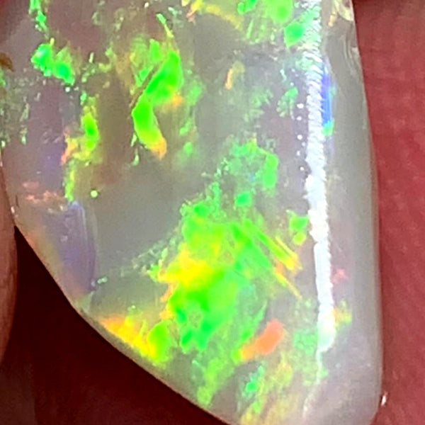 OPAL MONTH SPECIAL Lightning Ridge Rough / Rub /Preform Gem Dark opal Miners Bench® 3.1cts Gorgeous Bright Multifires & Pattern 14x10x3mm WSZ56