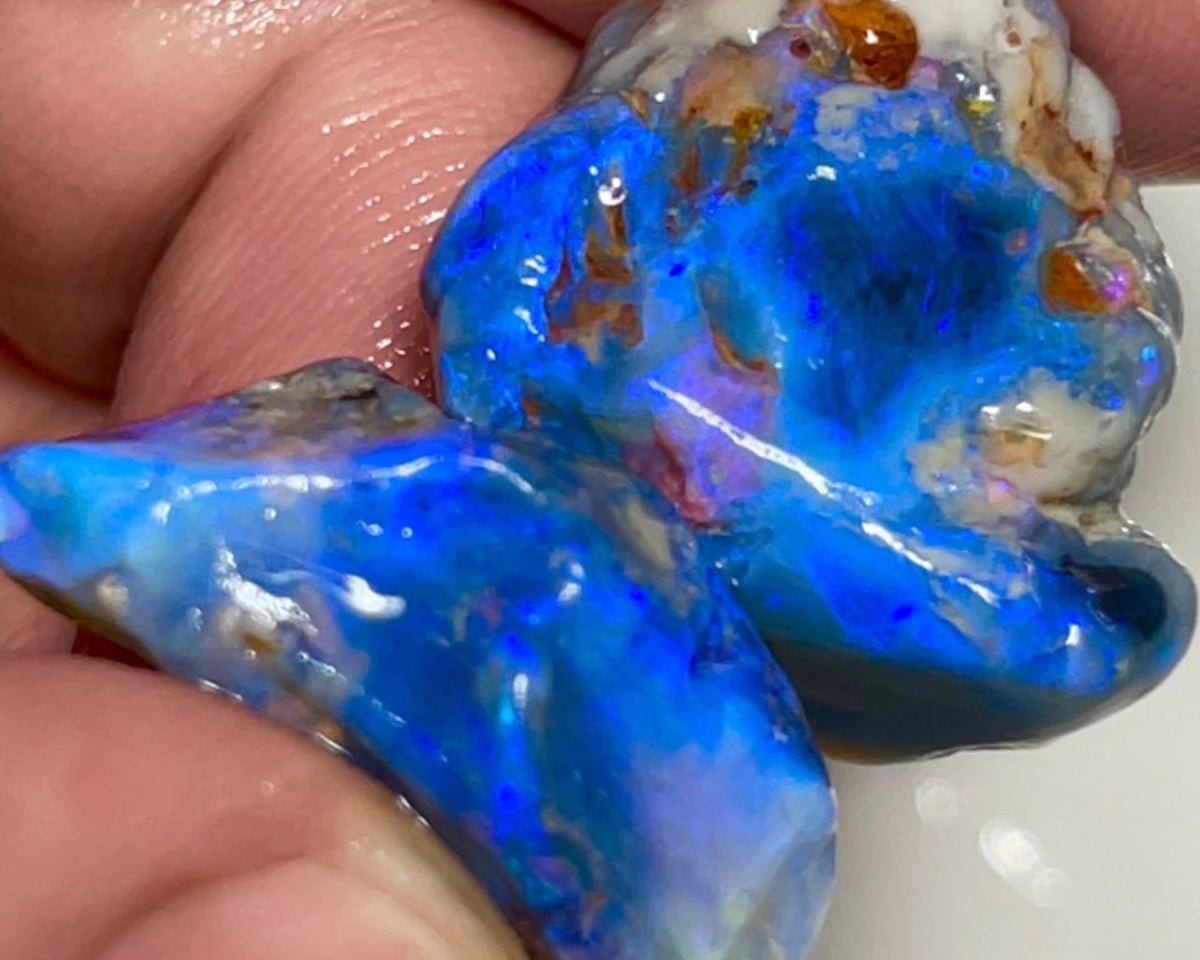 Bright & gorgeous Black opal rough to cut 36.00cts Bright Gorgeous Blues to explore 20x18x10 & 24x10x9 mm NSW051