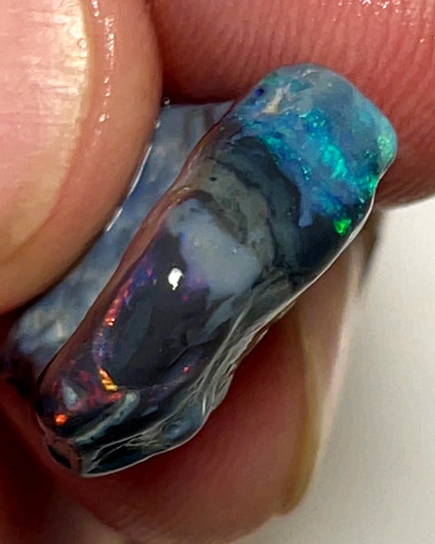 Lightning Ridge Rough Opal 11.5cts Stunning Black base Seam Gorgeous Reds Greens & Multifires in bars 20x14x5mm WAD44