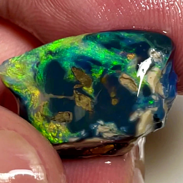 Lightning Ridge Opal Rough/Rub Black Specimen From the Miners Bench® 9.5cts Gorgeous Bright Multi fires 20x12x7mm WAC51