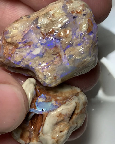 NO RESERVE Lightning Ridge Rough Opal 110cts Opalised wood fossil formations with host rock colourful rough suit being carved Potential 37x25x11mm & 25x22x10mm WSS12