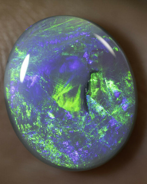 Lightning Ridge Semi Black Opal Gemstone 2.48cts N5 Body Tone B3 Brightness Stunning Multi fires & play of colour 11x9x3mm WSF8877