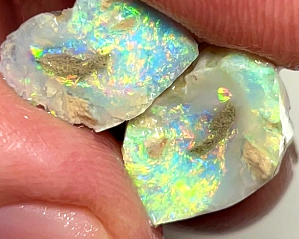 Lightning Ridge Rough Opal 10cts Gem Bright Dark Knobby Split with Amazing bars with Bright Vibrant Multifires 14x11x7 & 12x9x4 mm WAE28