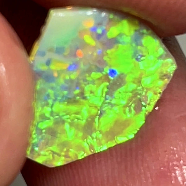 WARNING SUN GLASSES NEEDED Bling Rough / Rub Jewellery Grade Crystal opal Suit Inlay or doubleting Miners Bench® 1.4cts Saturation of Gorgeous Vivid Vibrant Multifires  14.000 x 11.000 x 1.500 mm WAE0