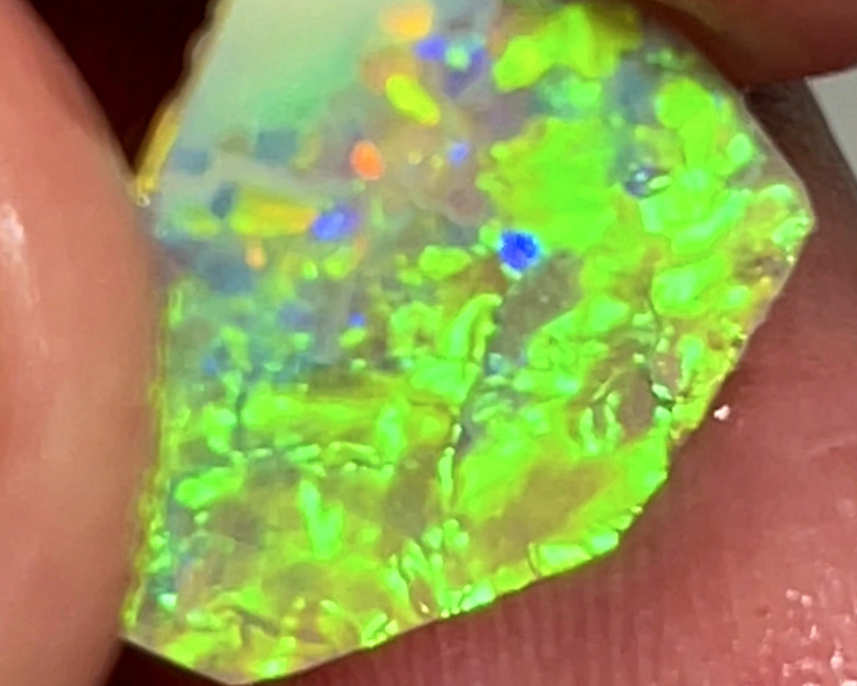 WARNING SUN GLASSES NEEDED Bling Rough / Rub Jewellery Grade Crystal opal Suit Inlay or doubleting Miners Bench® 1.4cts Saturation of Gorgeous Vivid Vibrant Multifires  14.000 x 11.000 x 1.500 mm WAE0