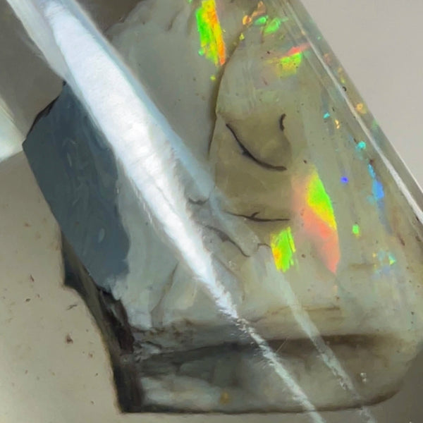 CUTTERS GEM ROUGH Lightning Ridge  47.75cts Bright gorgeous Multicolours to cut & polish 33.00x 18.00x 17.00mm NEW973