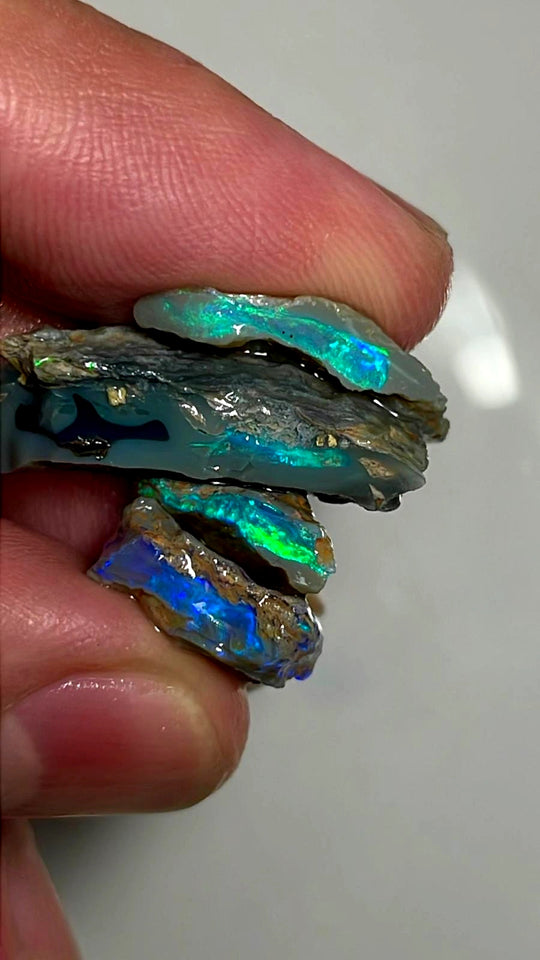 Lightning Ridge Rough Opal 24cts Stunning Stack of Black & Dark base Seams to cut Gorgeous Bright Multicolours 24x11x7mm to 13x11x4mm WAE35