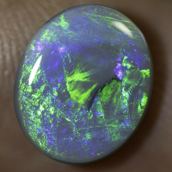 Lightning Ridge Semi Black Opal Gemstone 2.48cts N5 Body Tone B3 Brightness Stunning Multi fires & play of colour 11x9x3mm WSF8877