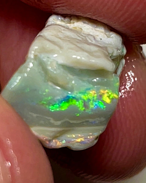 Australian Rough Opal 9.5cts Dark base Knobby of Lightning Ridge Gorgeous Bright Multifires 15x10x8mm WAE04