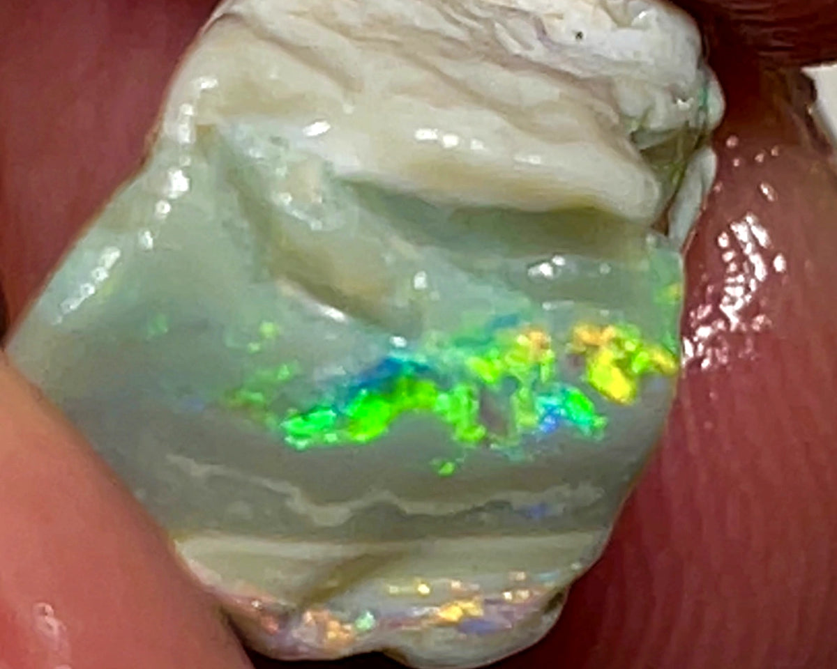 Australian Rough Opal 9.5cts Dark base Knobby of Lightning Ridge Gorgeous Bright Multifires 15x10x8mm WAE04