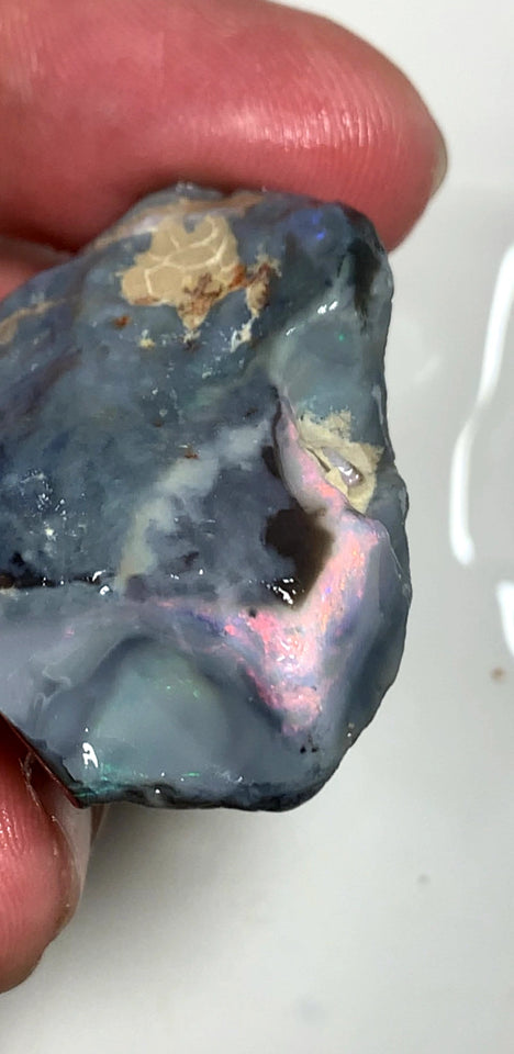 OPAL MONTH SPECIAL Lightning Ridge Huge Dark Rough Seam Opal Single 123cts Stunning Pink/Blue fires 45x30x20mm WSZ79