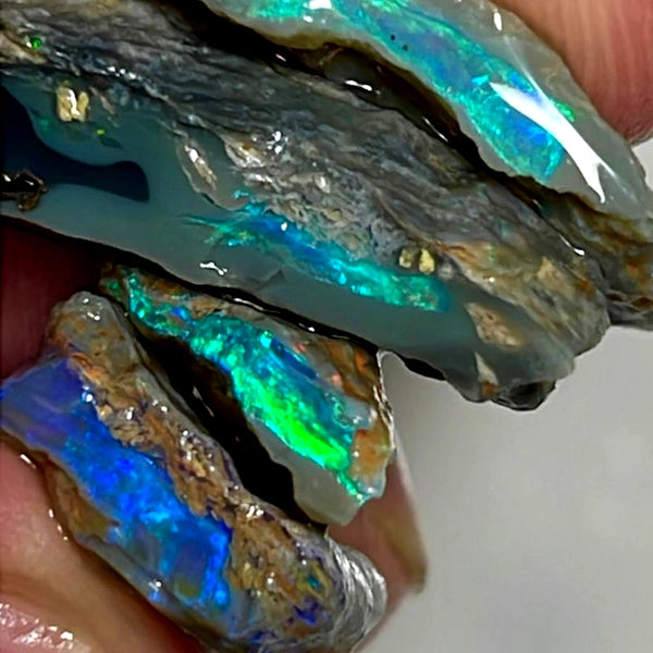 Lightning Ridge Rough Opal 24cts Stunning Stack of Black & Dark base Seams to cut Gorgeous Bright Multicolours 24x11x7mm to 13x11x4mm WAE35