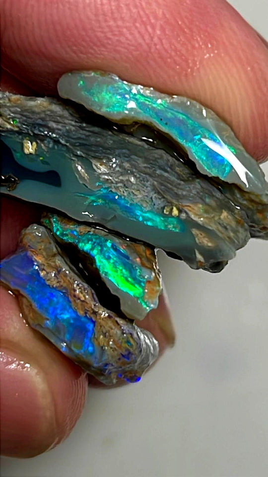 Lightning Ridge Rough Opal 24cts Stunning Stack of Black & Dark base Seams to cut Gorgeous Bright Multicolours 24x11x7mm to 13x11x4mm WAE35