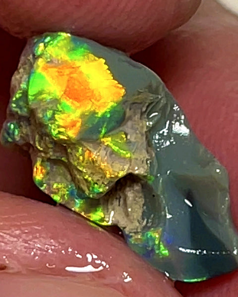 Lightning Ridge Rough Opal 5.25cts Dark Base Carvers Candy High Grade Bright Orange/Yellow Multifires 17x12x8mm WAE2