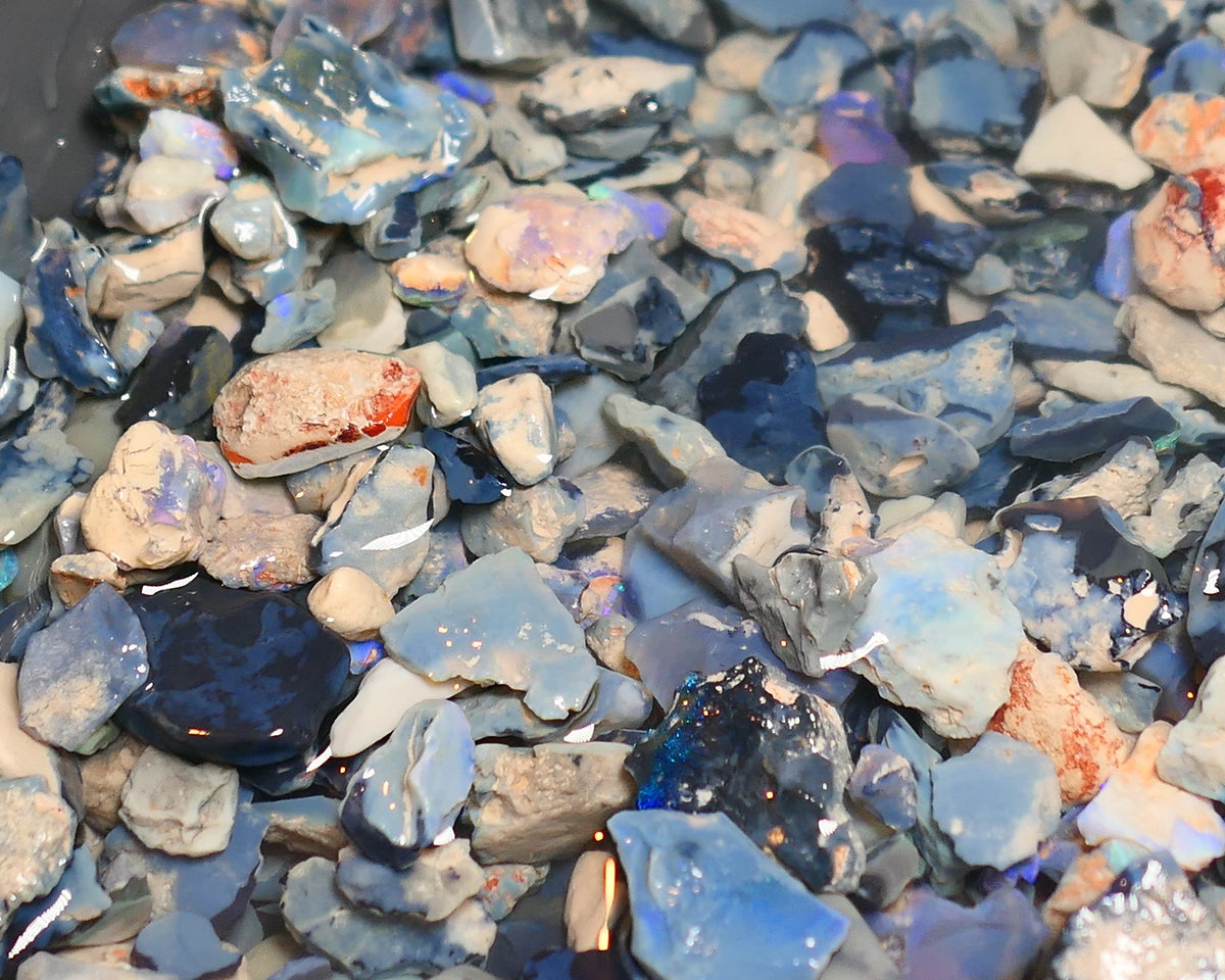 150 cts Random Scoop of Black, Semi Black & Crystal Potch & Colour from Lightning Ridge NSW Australia size range 25mm to chip size