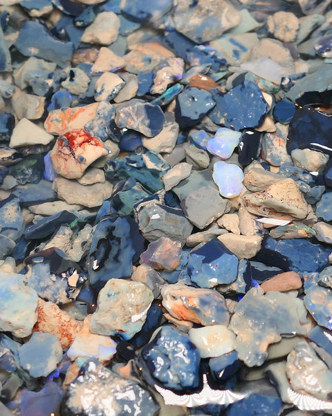 150 cts Random Scoop of Black, Semi Black & Crystal Potch & Colour from Lightning Ridge NSW Australia size range 25mm to chip size