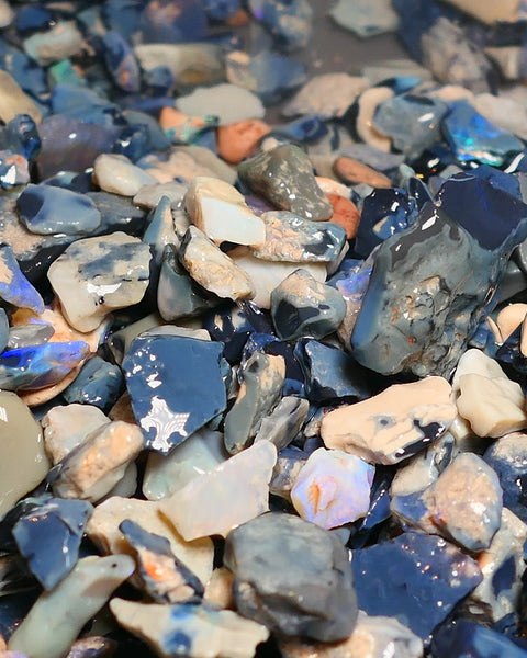150 cts Random Scoop of Black, Semi Black & Crystal Potch & Colour from Lightning Ridge NSW Australia size range 25mm to chip size