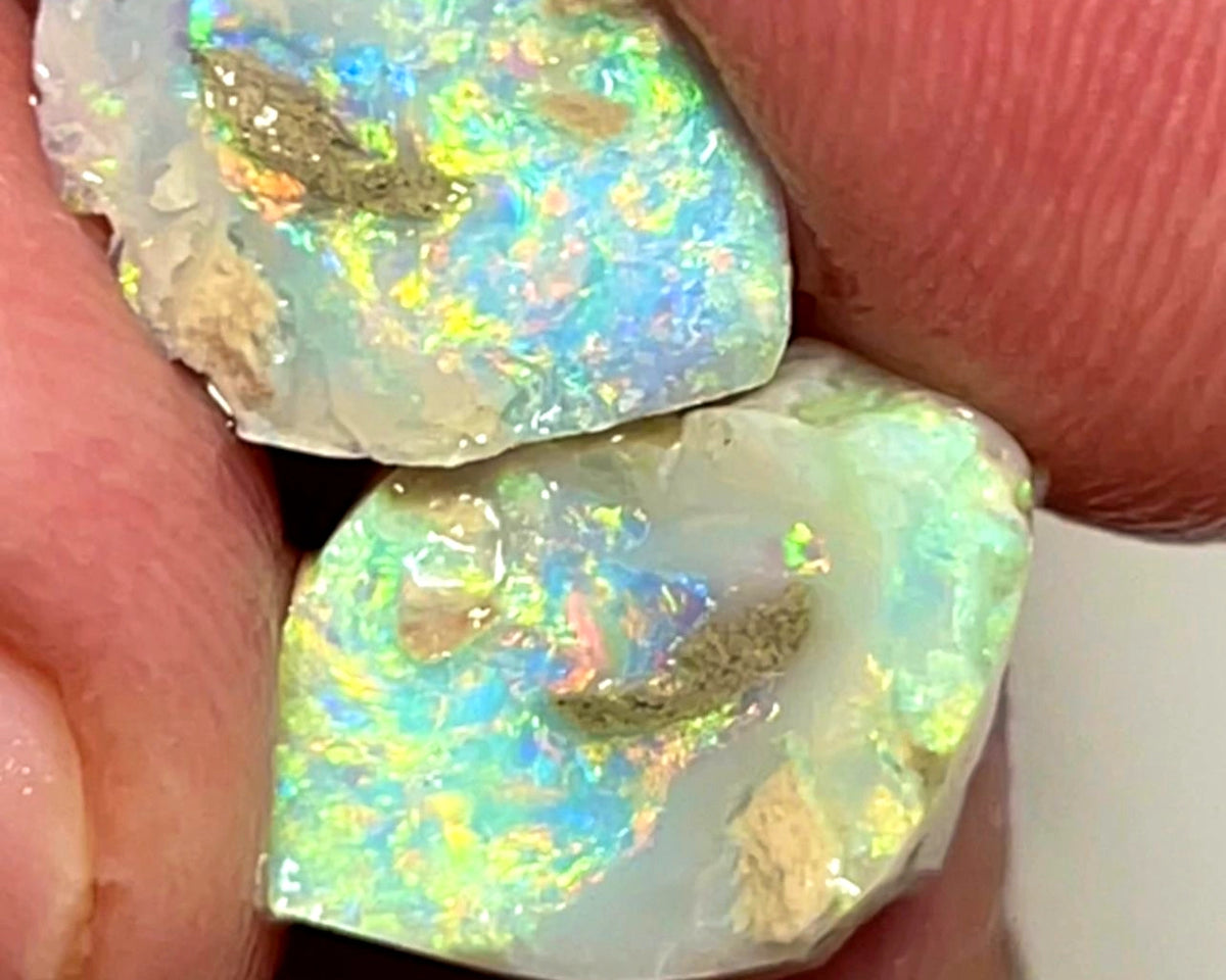 Lightning Ridge Rough Opal 10cts Gem Bright Dark Knobby Split with Amazing bars with Bright Vibrant Multifires 14x11x7 & 12x9x4 mm WAE28