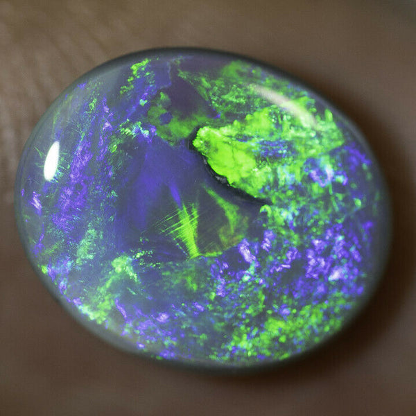 Lightning Ridge Semi Black Opal Gemstone 2.48cts N5 Body Tone B3 Brightness Stunning Multi fires & play of colour 11x9x3mm WSF8877