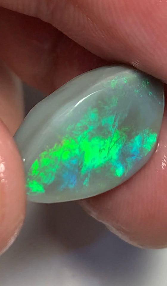 Lightning Ridge Opal Dark Base  Rough / Rub / Preform Gem Grade 11.5cts Big Clean amazing Bright Multi fires 21x13x5mm WSH38