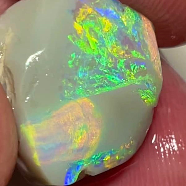 Lightning Ridge Rough / Rub Dark base knobby opal Miners Bench® 13.30cts big size Vibrant Bright Gorgeous Multifires 20x18x8mm MFB14