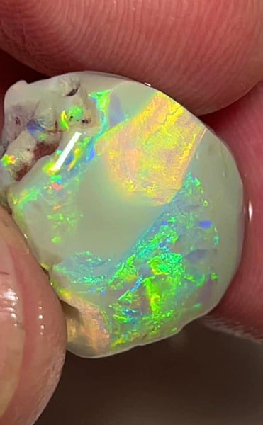 Lightning Ridge Rough / Rub Dark base knobby opal Miners Bench® 13.30cts big size Vibrant Bright Gorgeous Multifires 20x18x8mm MFB14