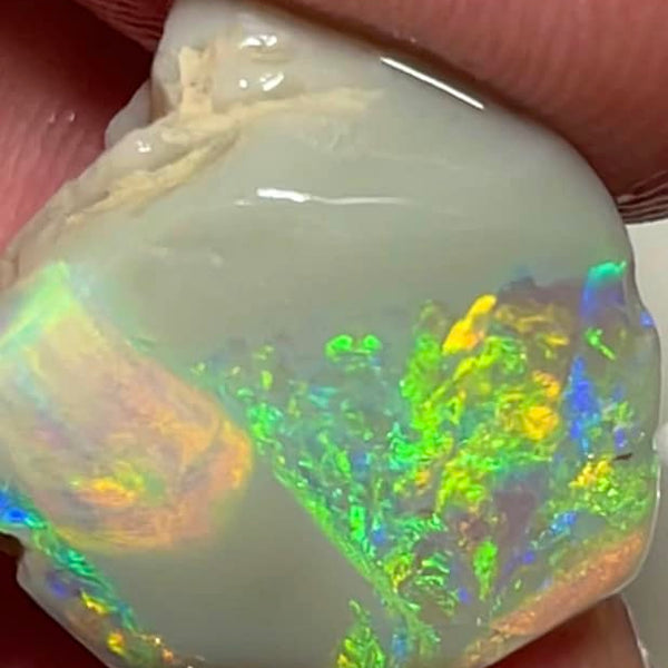 Lightning Ridge Rough / Rub Dark base knobby opal Miners Bench® 13.30cts big size Vibrant Bright Gorgeous Multifires 20x18x8mm MFB14