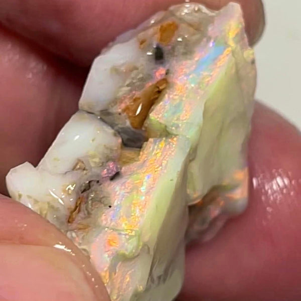 Lightning Ridge Rough Opal 33cts Big Pair Stunning Light/Dark Base Cutters Candy® High Grade Bright Multifires 22x14x12mm & 17x14x11mm MFB28