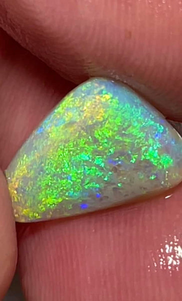 Lightning Ridge Opal Rough/Rub/Preform Dark Base High Grade From the Miners Bench® 2.8cts Lovely  Bright Multi fires 14x10x3mm MFB38