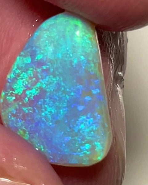 Lightning Ridge Rough / Rub Gem Grade Crystal opal Miners Bench® 4.5cts Gorgeous Display of Green Blue & Aqua fires 15x11x3mm MFB41