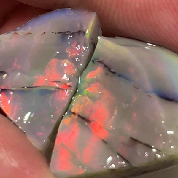 Lightning Ridge Reds on Dark Seam Split opal 33cts Nice size stunning exposed colours 23x15x7mm & 14x12x7mm  MFB46