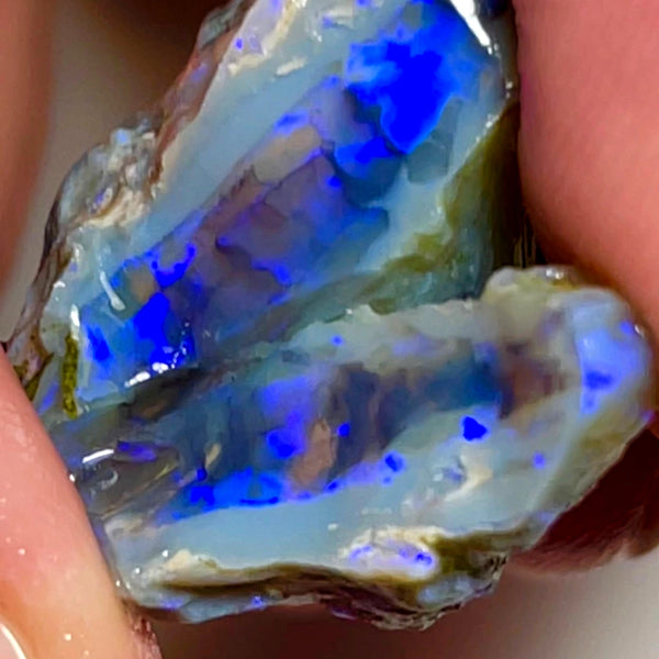 Lightning Ridge Rough Opal 31cts Stunning Dark Crystal Knobby Split with Nice bars with Vibrant Blues  26x20x13 & 20x8x7mm WAE57