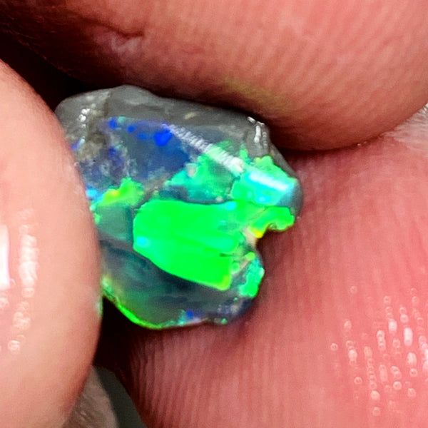 Lightning Ridge Miners Bench® Little Knobby Opal Rub Gorgeous Dark Base Rough / Rub 1.45cts Vibrant & Bright Multifires broad pattern 10x10x2.5mm WAA49