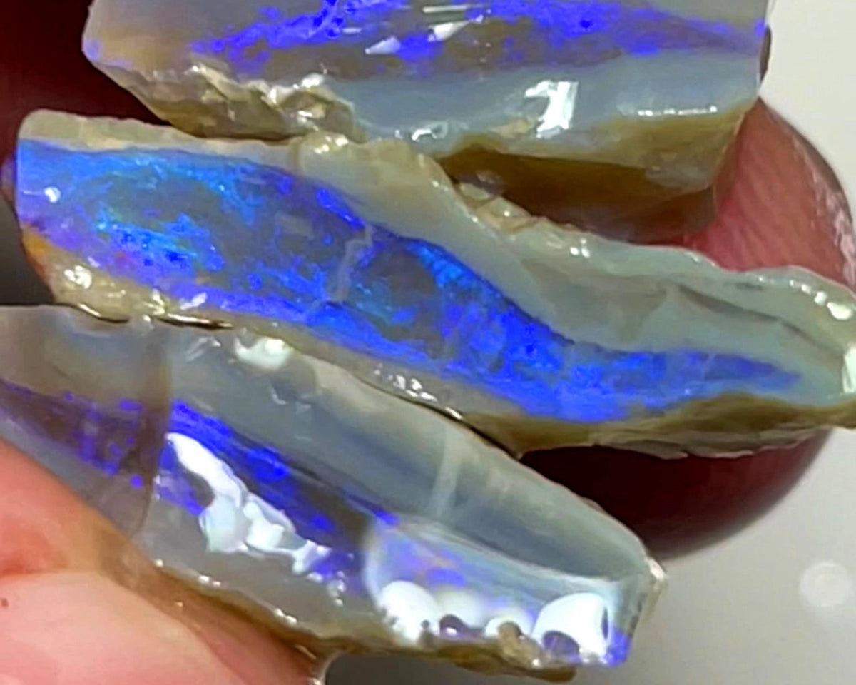 Lightning Ridge Rough Opal 20cts Stack of Dark Base Crystal Seams Bright Blues colour fires to Cut / carve & polish 22x12x5mm to 16x9x7mm 1026