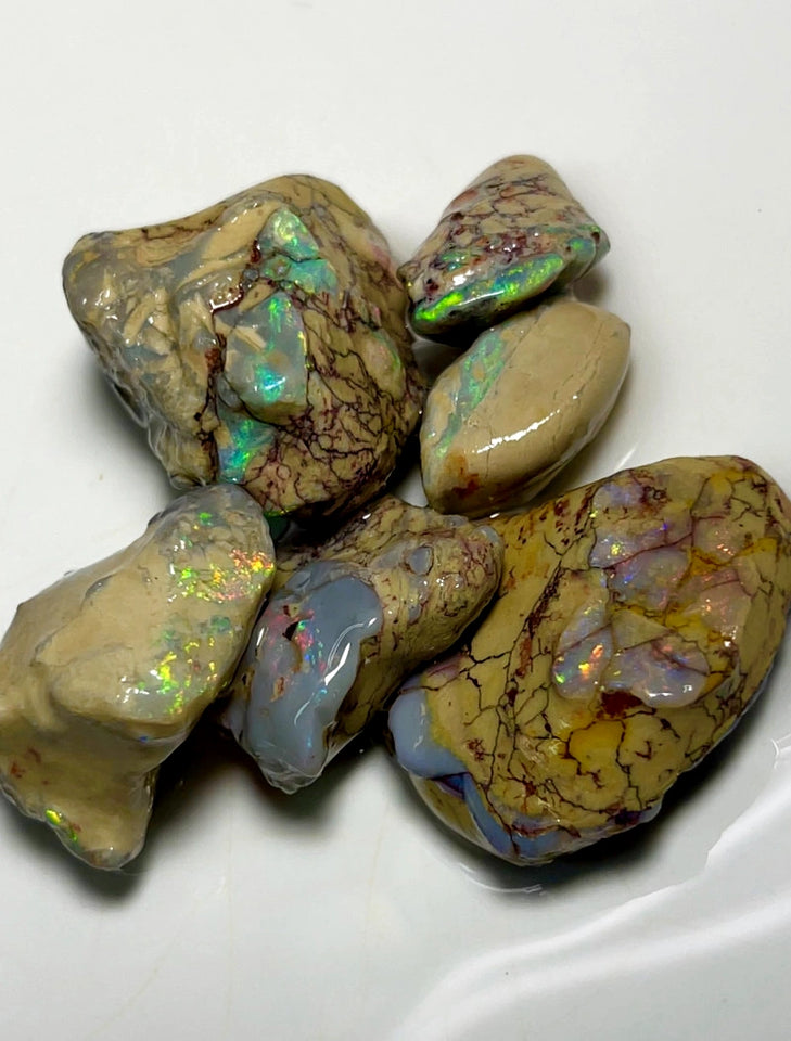 Lightning Ridge Rough Dark & Crystal Opal Parcel 125cts Knobby & Seam Formations with bright Multi colours showing 30x22x8mm to 18x10x5mm WAD37