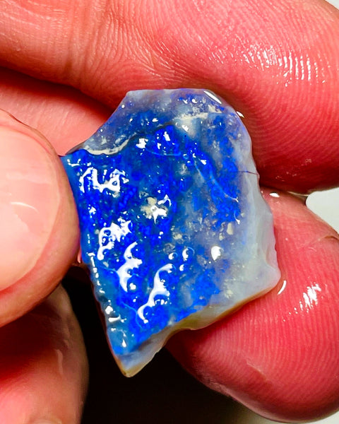 Lightning Ridge Opal Dark Base Seam Rough 9.5cts Gorgeous blues fires to cut 21x17x3mm WAD56