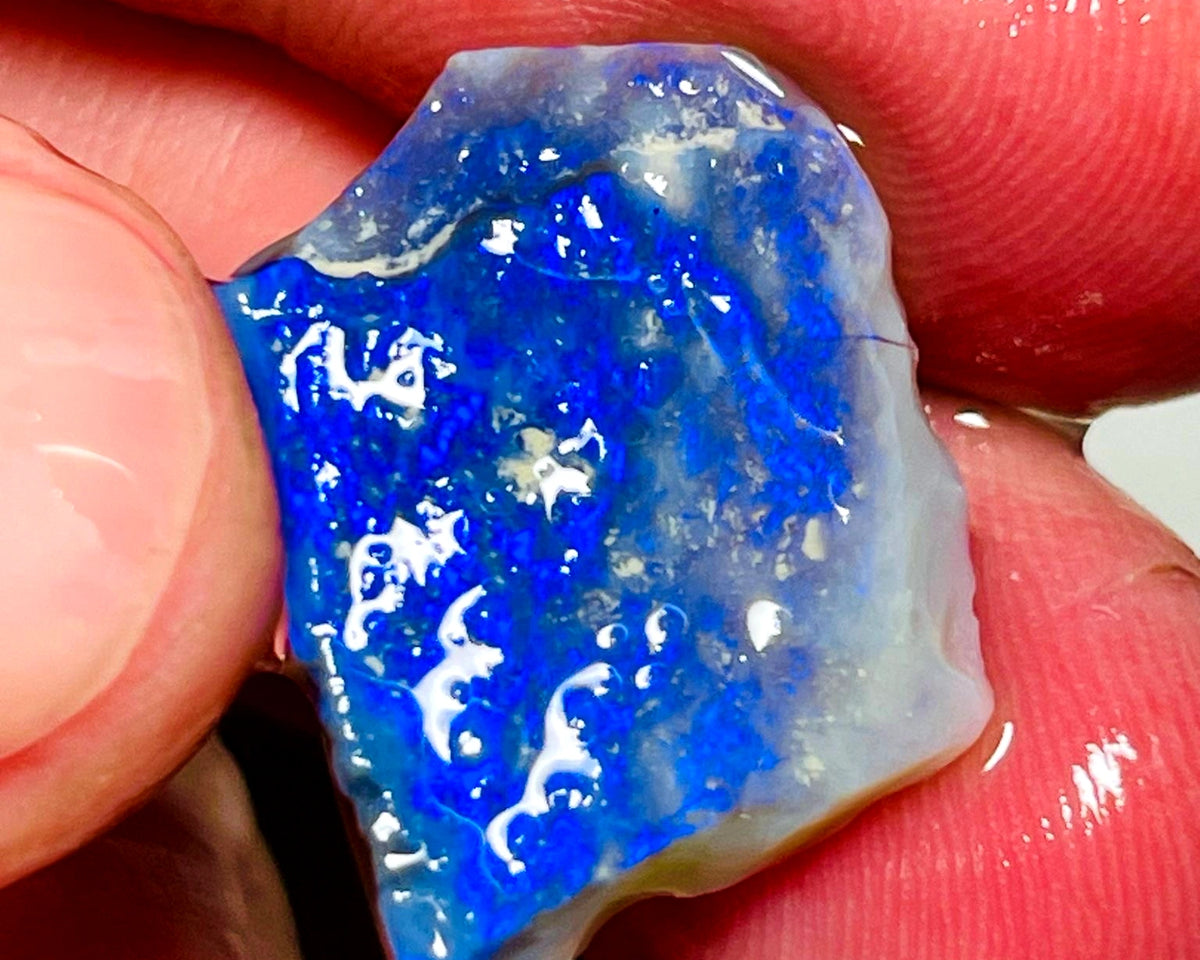 Lightning Ridge Opal Dark Base Seam Rough 9.5cts Gorgeous blues fires to cut 21x17x3mm WAD56