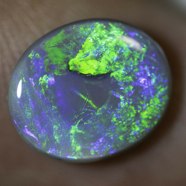 Lightning Ridge Semi Black Opal Gemstone 2.48cts N5 Body Tone B3 Brightness Stunning Multi fires & play of colour 11x9x3mm WSF8877